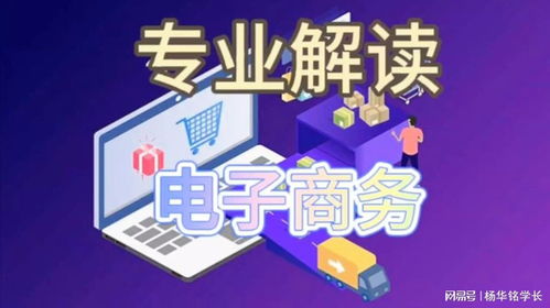 電子商務(wù)專業(yè) 數(shù)字時(shí)代的商業(yè)先鋒